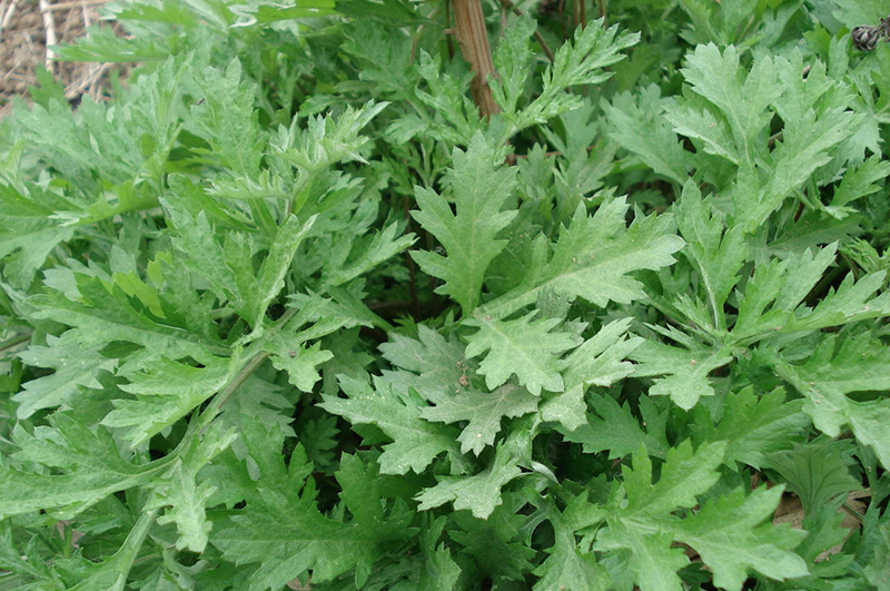 4034970a304e251fcca4866da086c9177e3e53d7