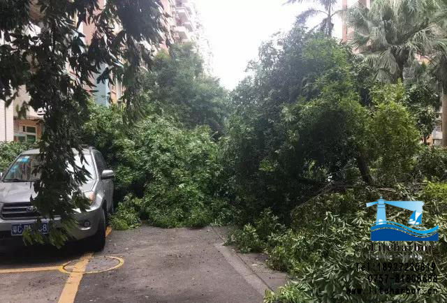 微信圖片_20170823234144